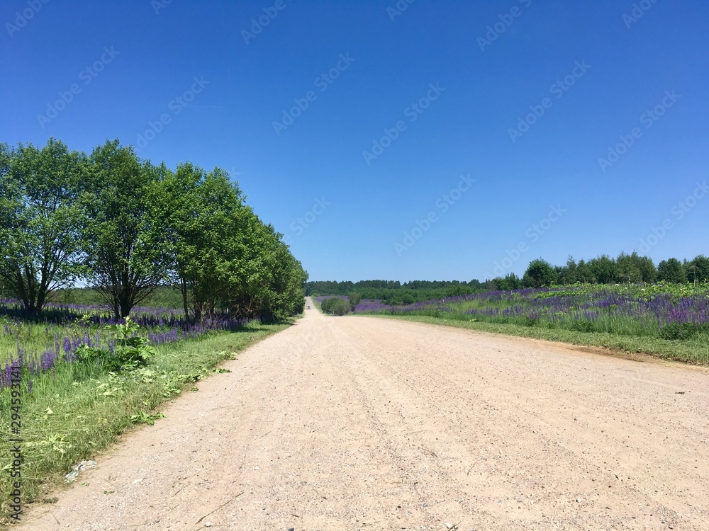 Obraz premium road in the countryside