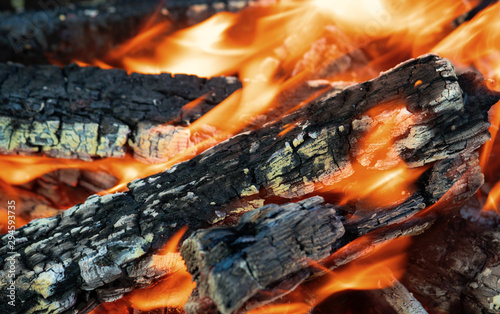 Fascinating bonfire, with glowing wood and wriggling flames. The texture of the burning tree