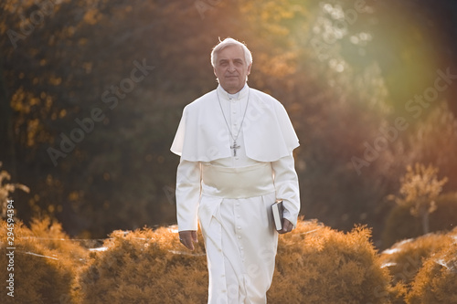 Pope walks at the end of the day in the garden      