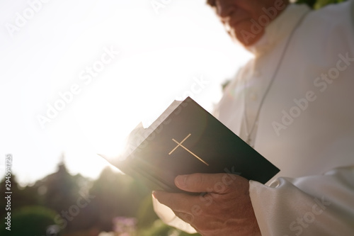 Pope reads the Bible in the garden photo