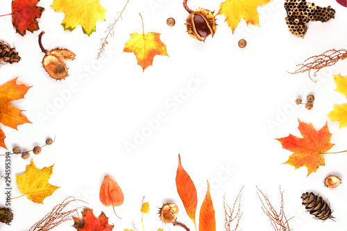 Autumn composition on a white background. Frame made of dried leaves and other natural material. Flat lay, top view, copy space