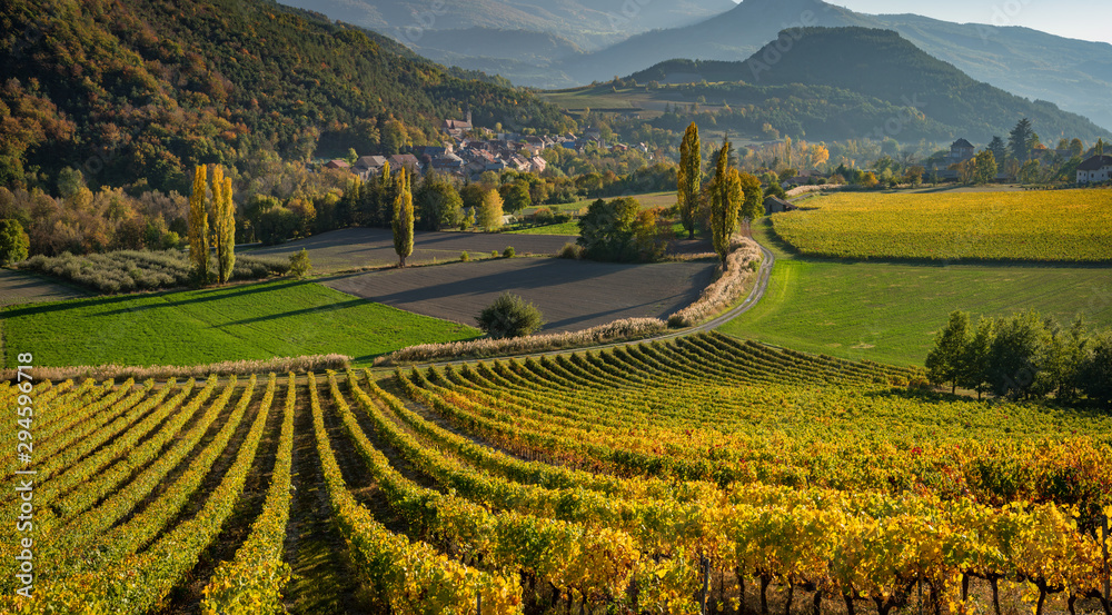 Vineyards and the village of Valserres in Autumn. Winery and grape vines in the Hautes-Alpes, Alps, France