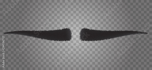 Realistic 3d human eyebrows form isolated on transparent background. Vector fashion illustration.