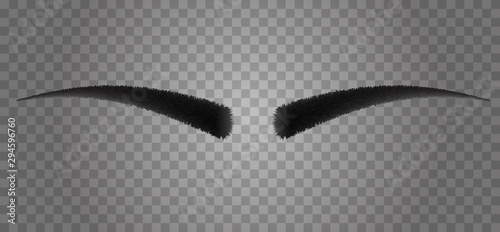 Realistic 3d human eyebrows form isolated on transparent background. Vector fashion illustration.