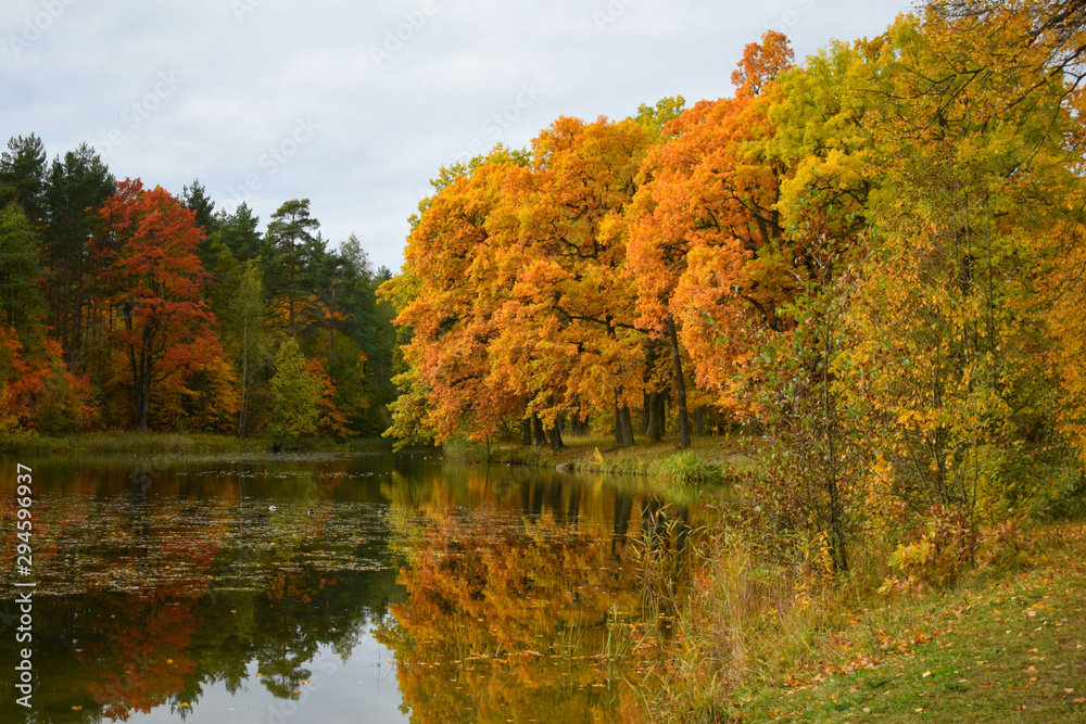 autumn landscape with lake and trees