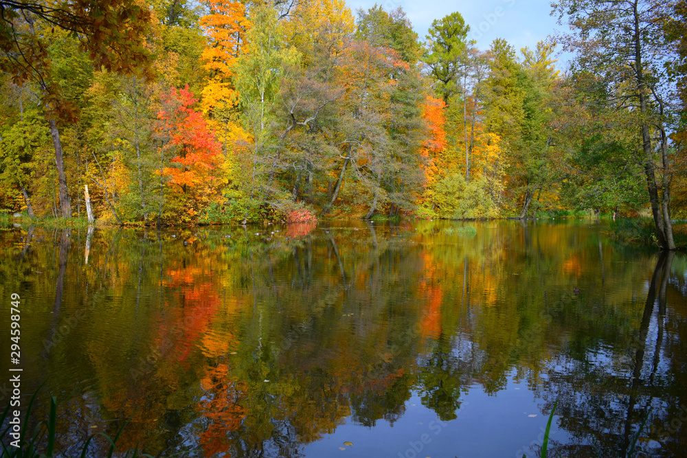 reflection of autumn trees in water reflection of autumn trees in water