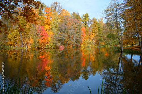 reflection of autumn trees in water