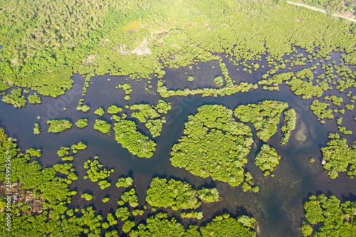 Mangroves, top view. Mangrove forest and winding rivers. Tropical background. The nature of the Philippines.