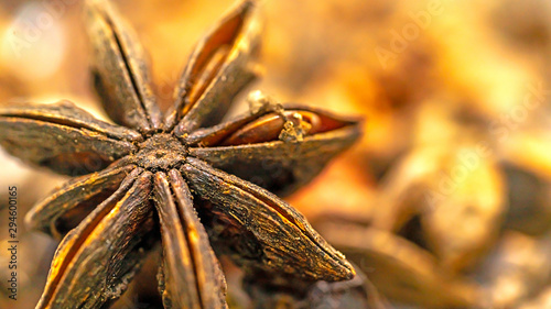 Isolated Close up Star anise fruit with seed