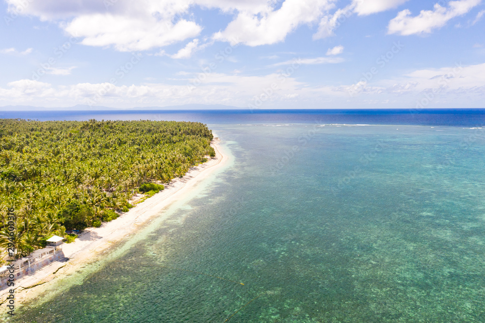 Beautiful tropical island with sand beach, palm trees. Aerial view of tropical beach on the island Siargao, Philippines. Tropical landscape: beach with palm trees.