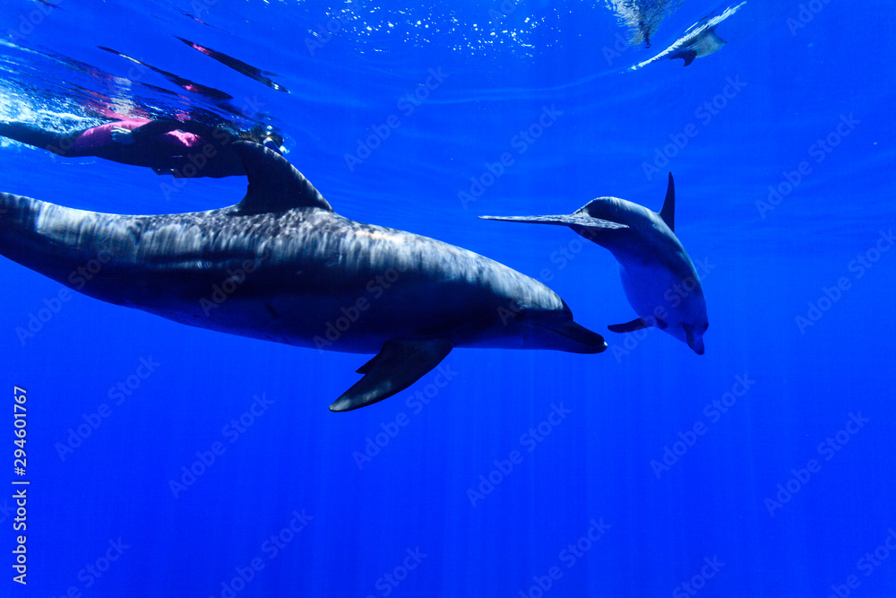 Naklejka premium 32282