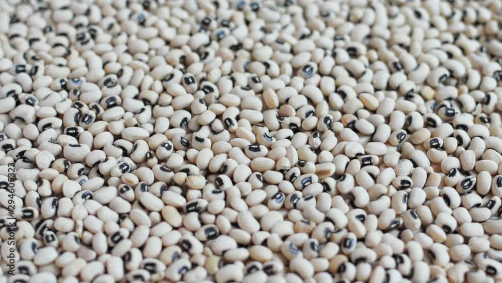 Black eyed beans, rotating closeup with a shallow depth of field Black eyed beans, rotating closeup with a shallow depth of field