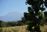 View of Mt. Kilimanjaro 