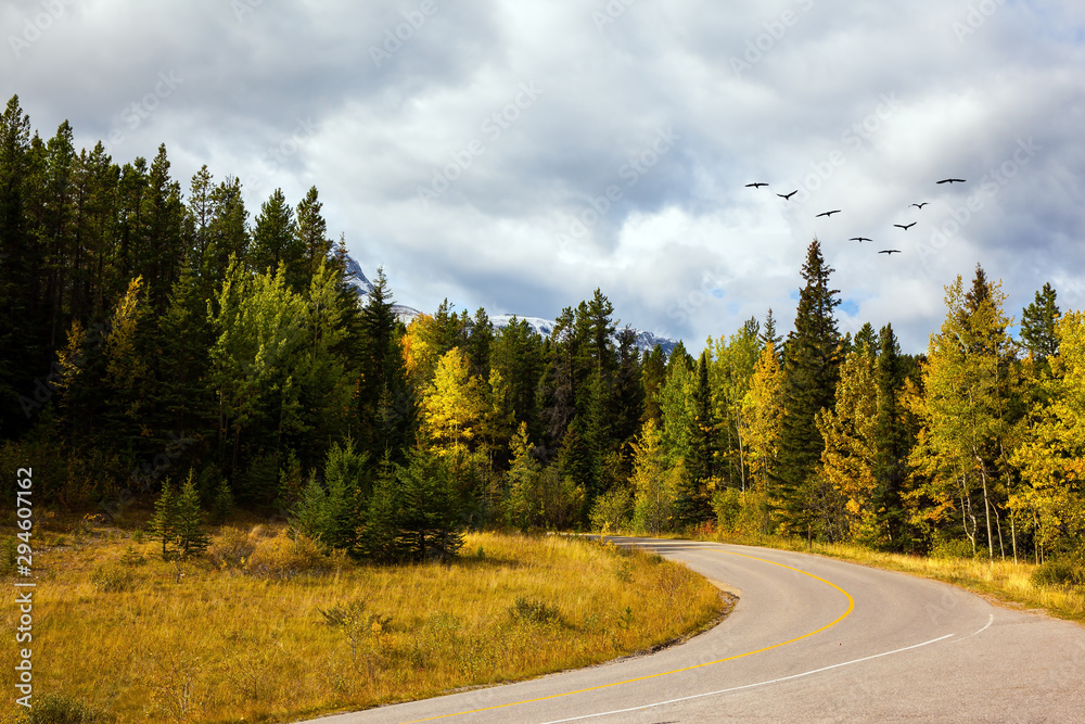 Fototapeta premium Orange, yellow and red leaves