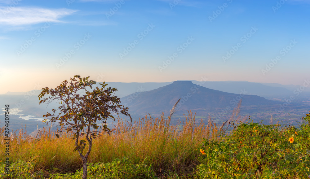 panoramic view and Beautiful countryside with clear sky,Phu Luang District, Thailand