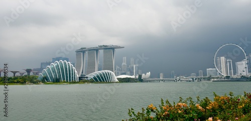  Singapore skyline with MBS-building, Gardens by the bay, the financial center, Singapore Flyer and flowers in the foreground