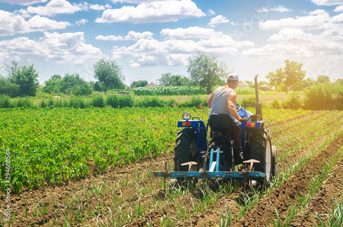 Принти на полотні A farmer on a tractor plows a field
