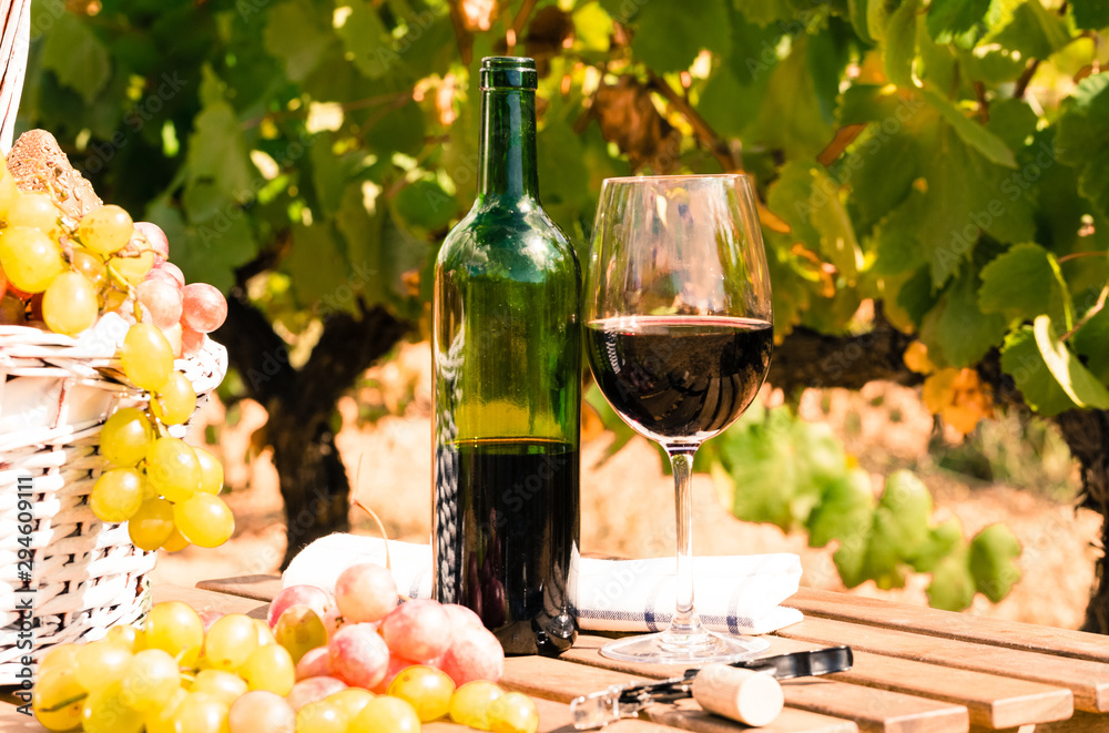 still life with glass of red wine and grapes