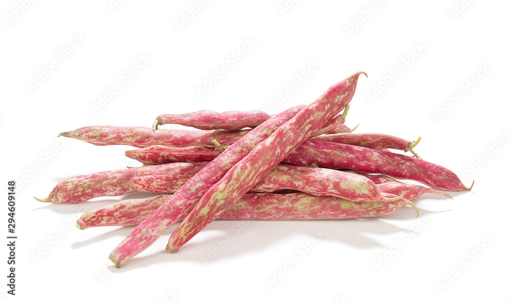 Raw organic cranberry bean isolated on white background     