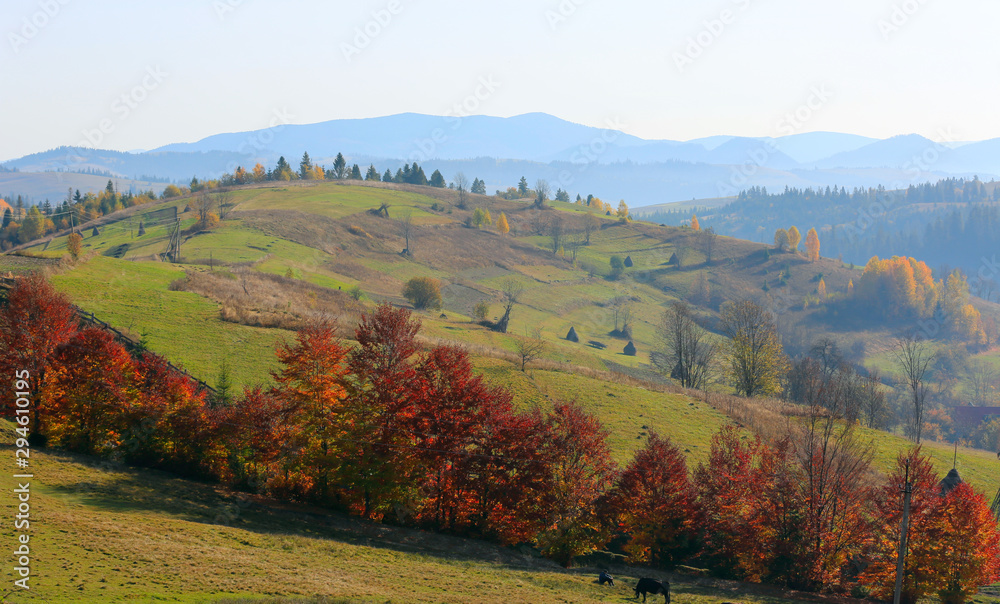 Nice autumn landscape in mountains, Carpathians, Ukraine