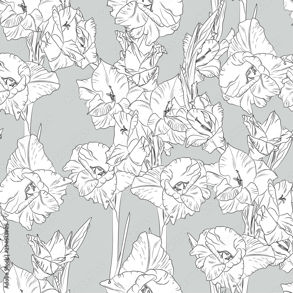 Floral seamless pattern with white line gladiolus on grey background. Flower print.