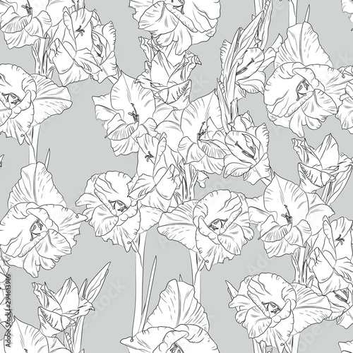 Floral seamless pattern with white line gladiolus on grey background. Flower print. © Iuliia