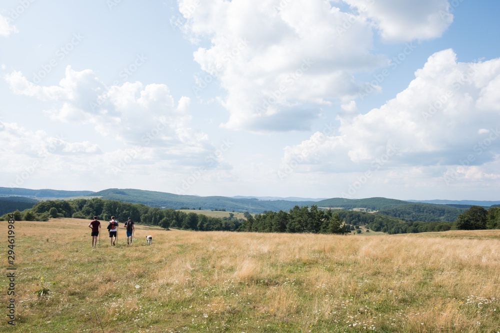 three hikers and a dog in landscape