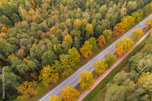 Aerial view of thick forest in autumn with road cutting through in Jelgava region , Latvia