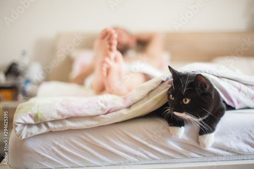Fototapeta Naklejka Na Ścianę i Meble -  cat sleeping under the covers with owner.