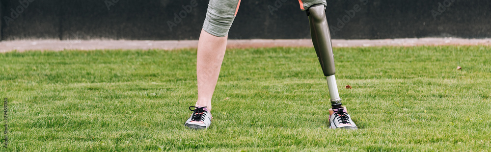 panoramic shot of disabled sportswoman standing on grass panoramic shot of disabled sportswoman standing on grass