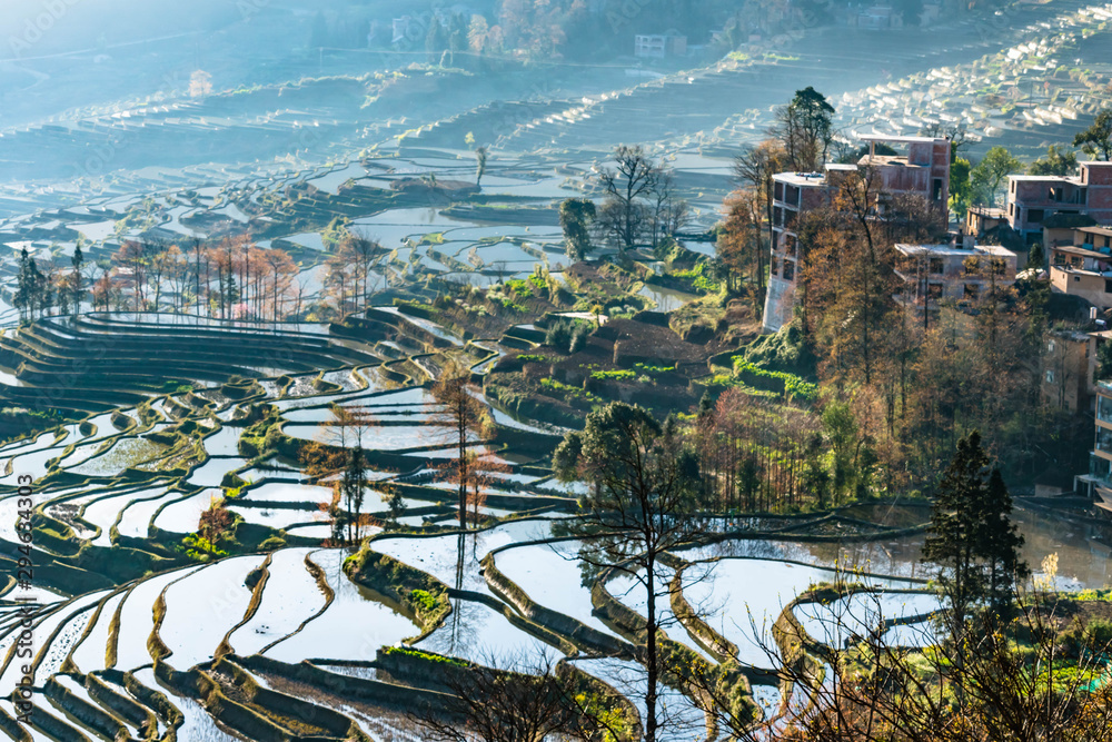 Fototapeta premium Small village and Terraced rice fields of YuanYang , China in the morning
