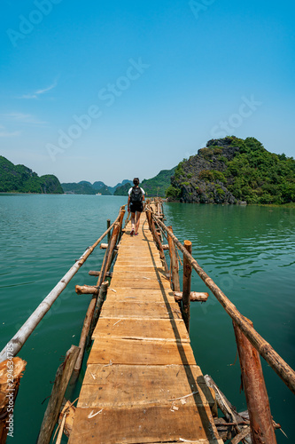 Old wood bridge on the Cat Ba island  Vietnam  Halong Bay 