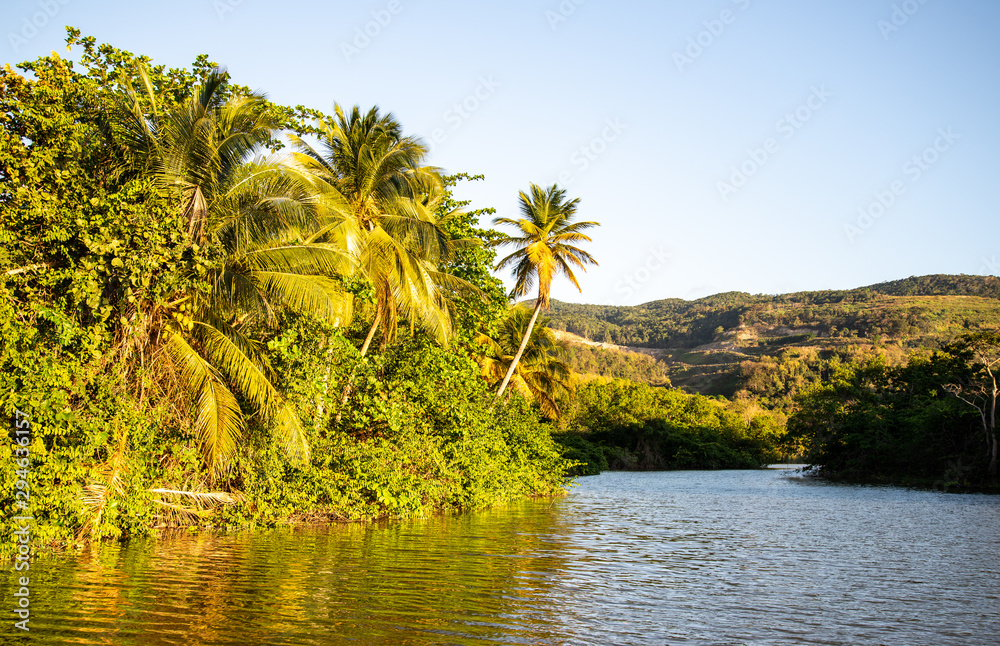 Obraz premium Plage de grande anse Deshaye Basse Terre Guadeloupe France