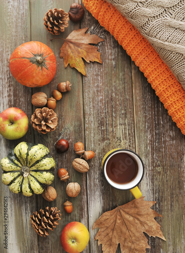 Autumn flat lay background. Pumpkins, apples, nuts,leaves, cups and sweater on wooden background.