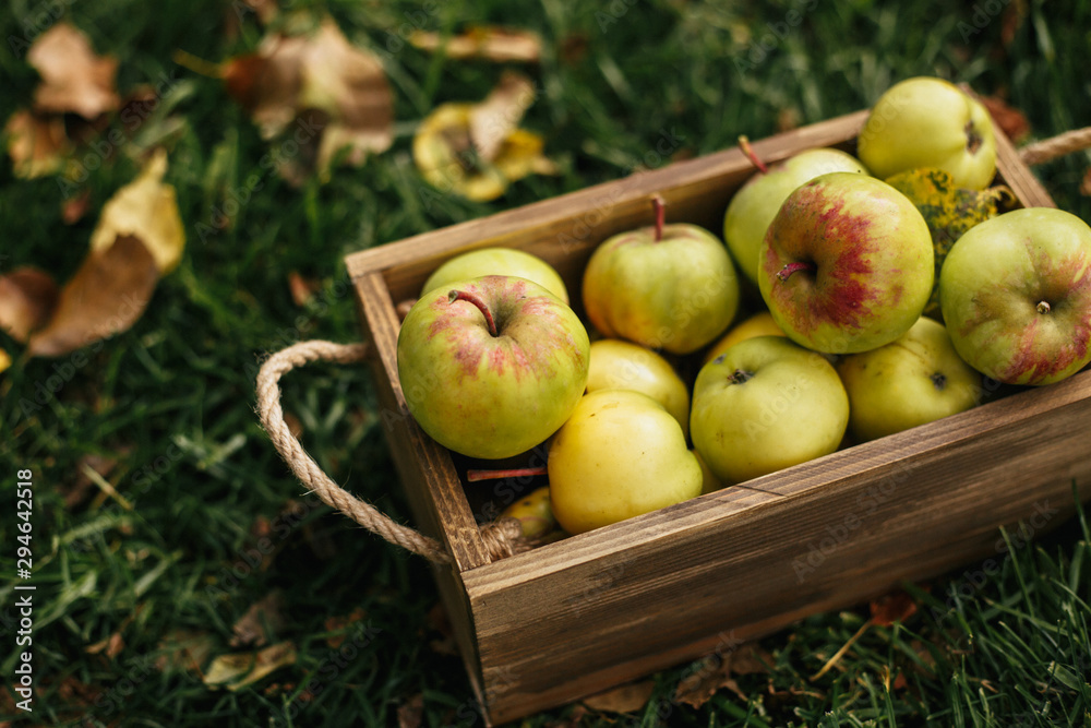 On the grass is a box of apples On the grass is a box of apples