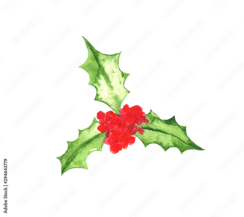 Fototapeta premium Christmas holly watercolor hand painted illustration