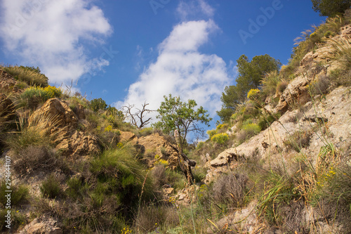landscape of the Rambla de Hirmes area in Beninar  Spain 