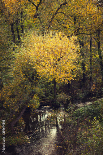beautiful autumn landscape with small winding river