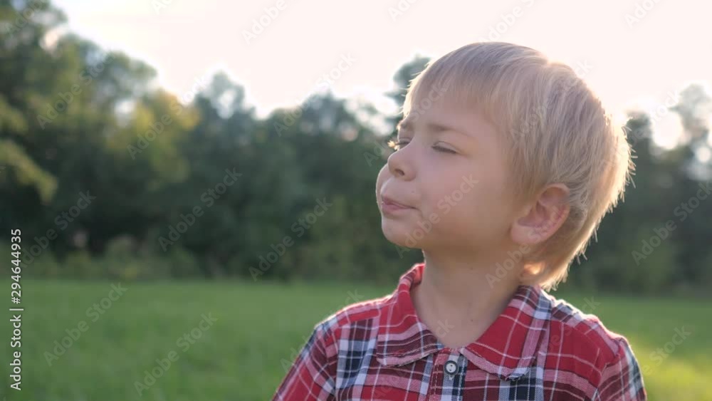 little boy portrait concept happy family. boy blond son looking up portrait slow motion video in nature in a lifestyle plaid shirt sunlight glare happy childhood concept little boy portrait concept happy family. boy blond son looking up portrait slow motion video in nature in a lifestyle plaid shirt sunlight glare happy childhood concept