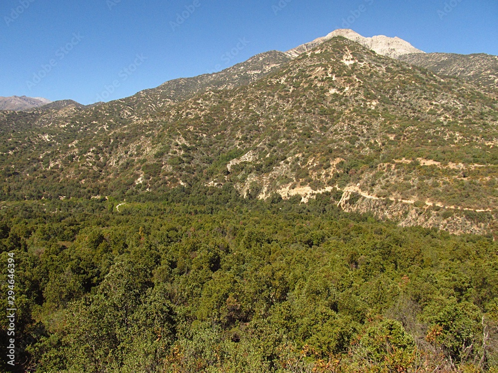Forest, hills and mountains in summer in Río Clarillo national park in Chili