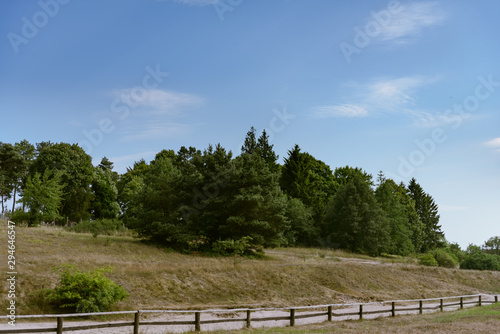 Forest landscape and flood in the distance