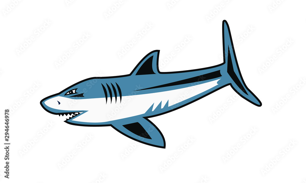 illustration of shark - Vector art