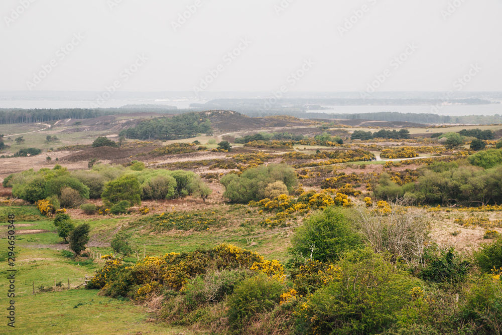 View from the top of the hill