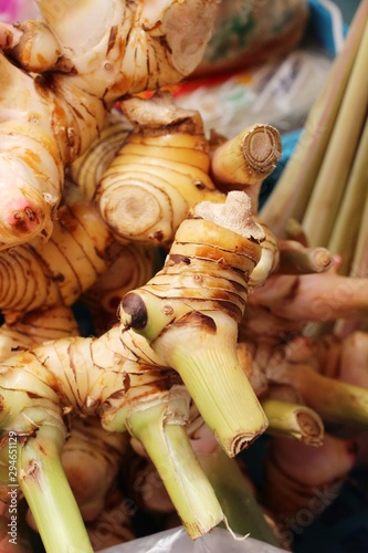 Fresh galangal for cooking in the market
