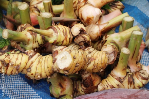 Fresh galangal for cooking in the market