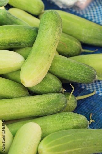Fresh cucumbers for cooking in the market