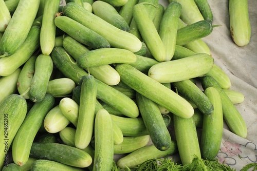 Fresh cucumbers for cooking in the market