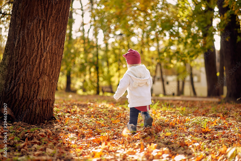 Infanta girl runs through the autumn park with fallen foliage. Infanta girl runs through the autumn park with fallen foliage.