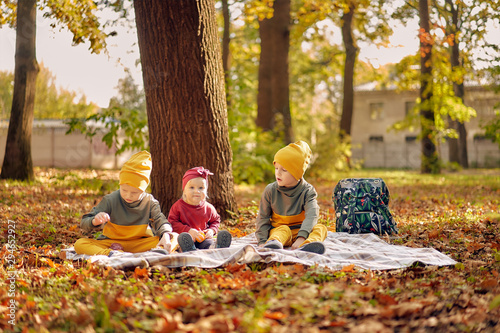 three young children in golden autumn are sitting on a litter in a park with fallen leaves. two brothers after school with an infante sister in a city park.