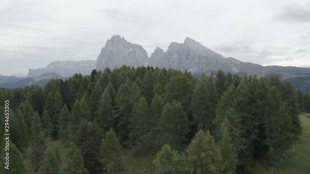 Alpi di Siusi Alpine Meadow Aerial 4K View with Beautiful Mountain Landscape and Forest in the Dolomites. Italy Dolomites 4k Footage Flat Profile Ready For Grading. Alpi di Siusi Alpine Meadow Aerial 4K View with Beautiful Mountain Landscape and Forest in the Dolomites. Italy Dolomites 4k Footage Flat Profile Ready For Grading.